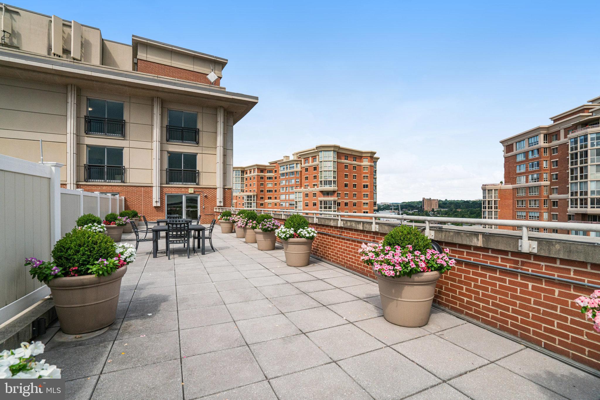 2050 JAMIESON AVENUE 1303