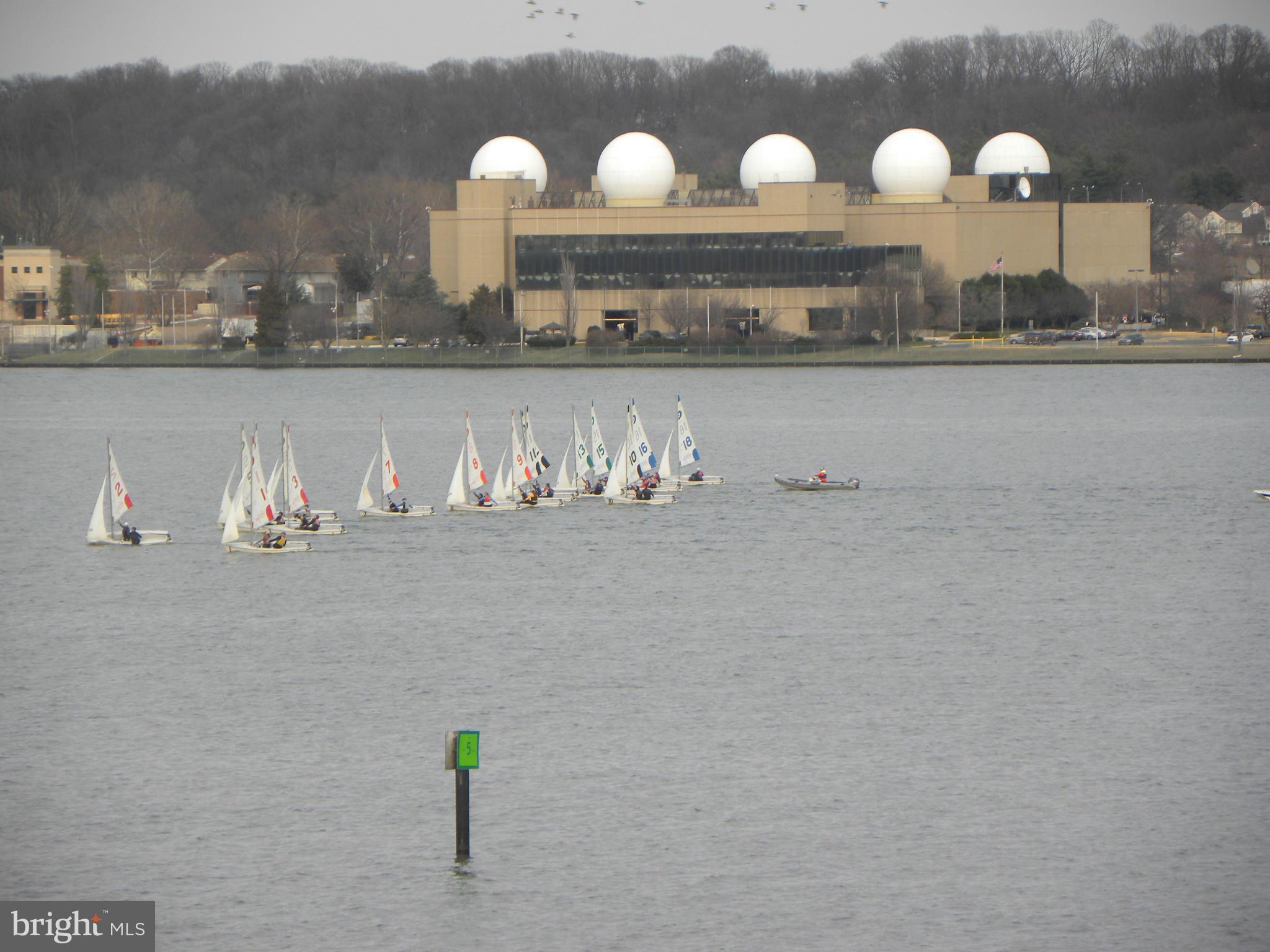 501 SLATERS LANE 212