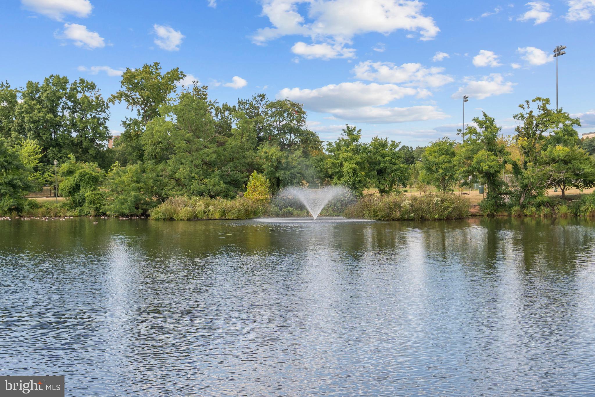 4950 BRENMAN PARK DRIVE 411