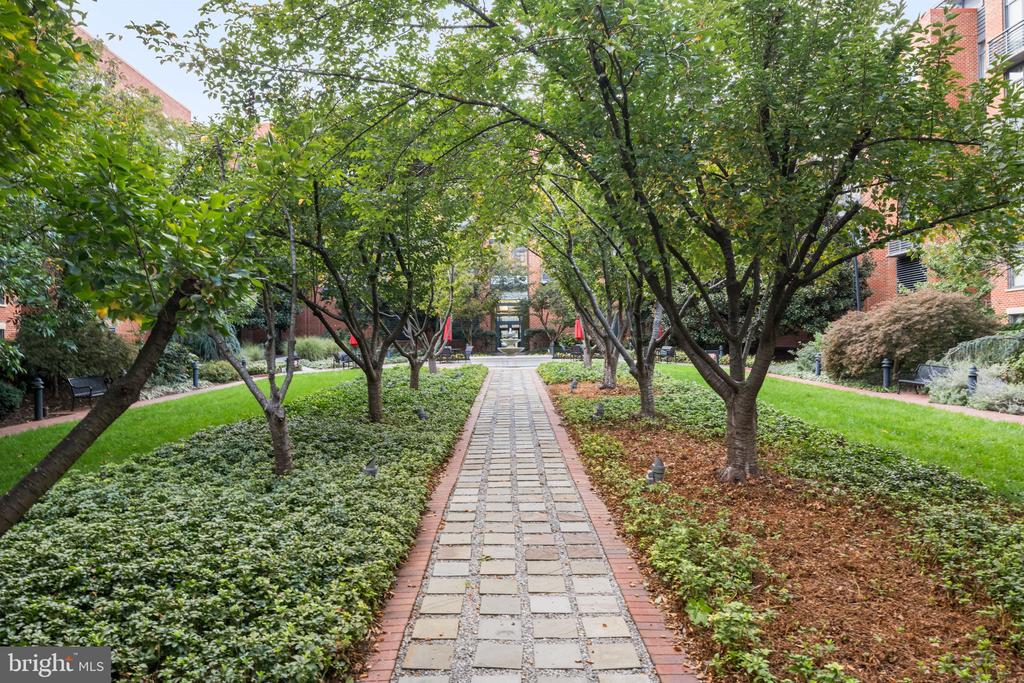 520 JOHN CARLYLE STREET 228