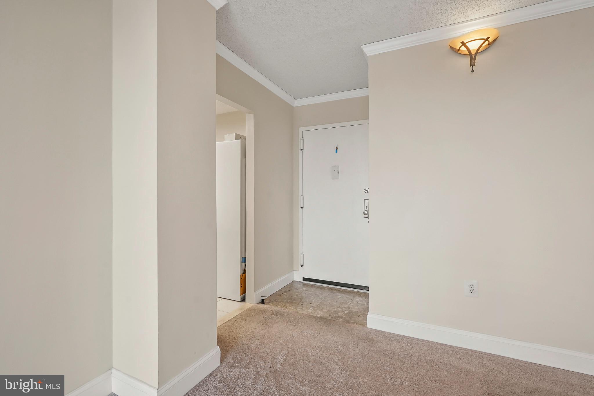 1225 MARTHA CUSTIS DRIVE 1119