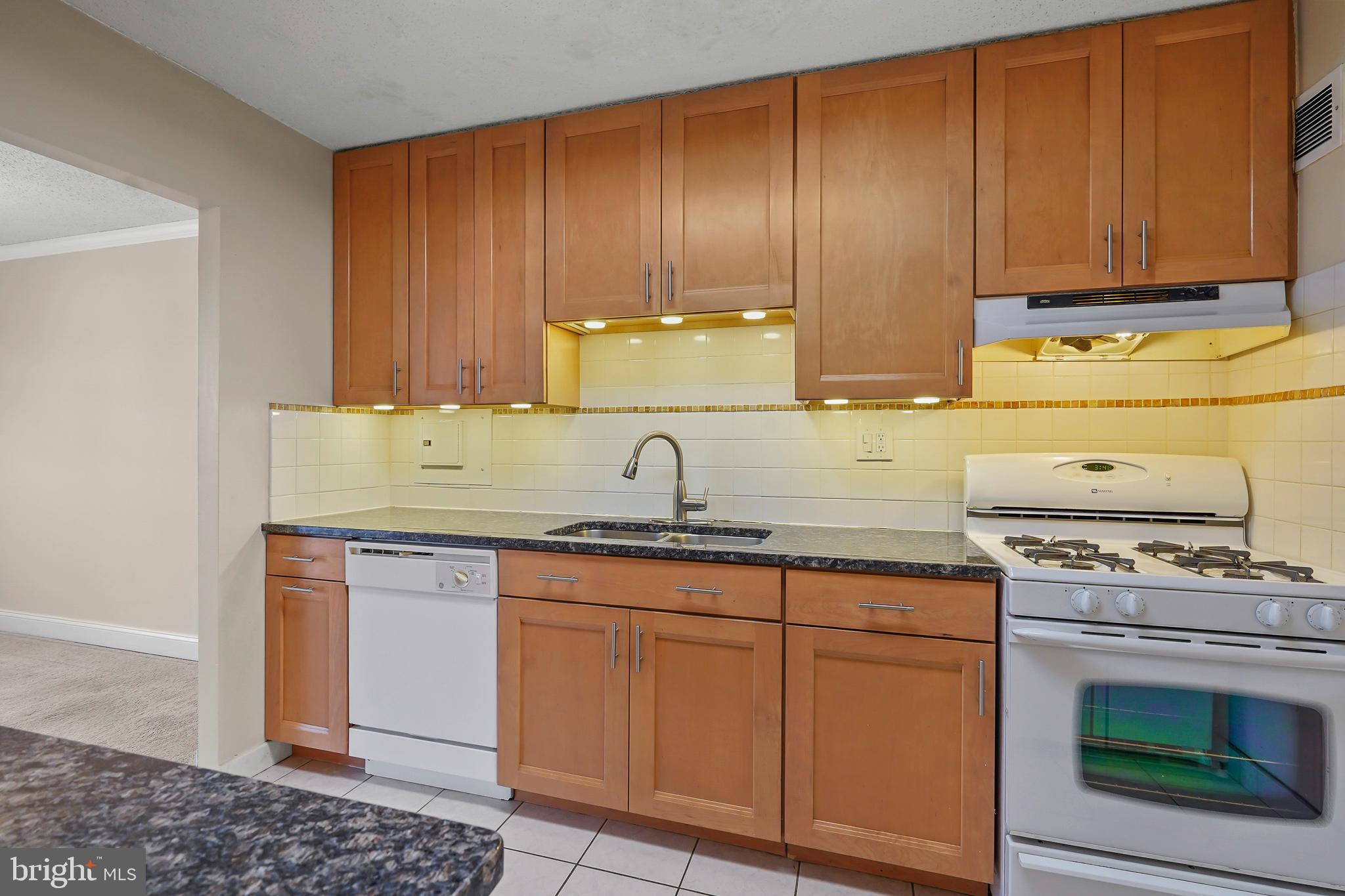 1225 MARTHA CUSTIS DRIVE 1119