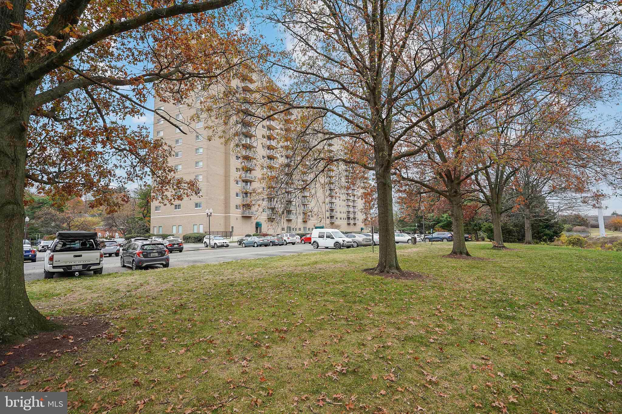 1225 MARTHA CUSTIS DRIVE 1119