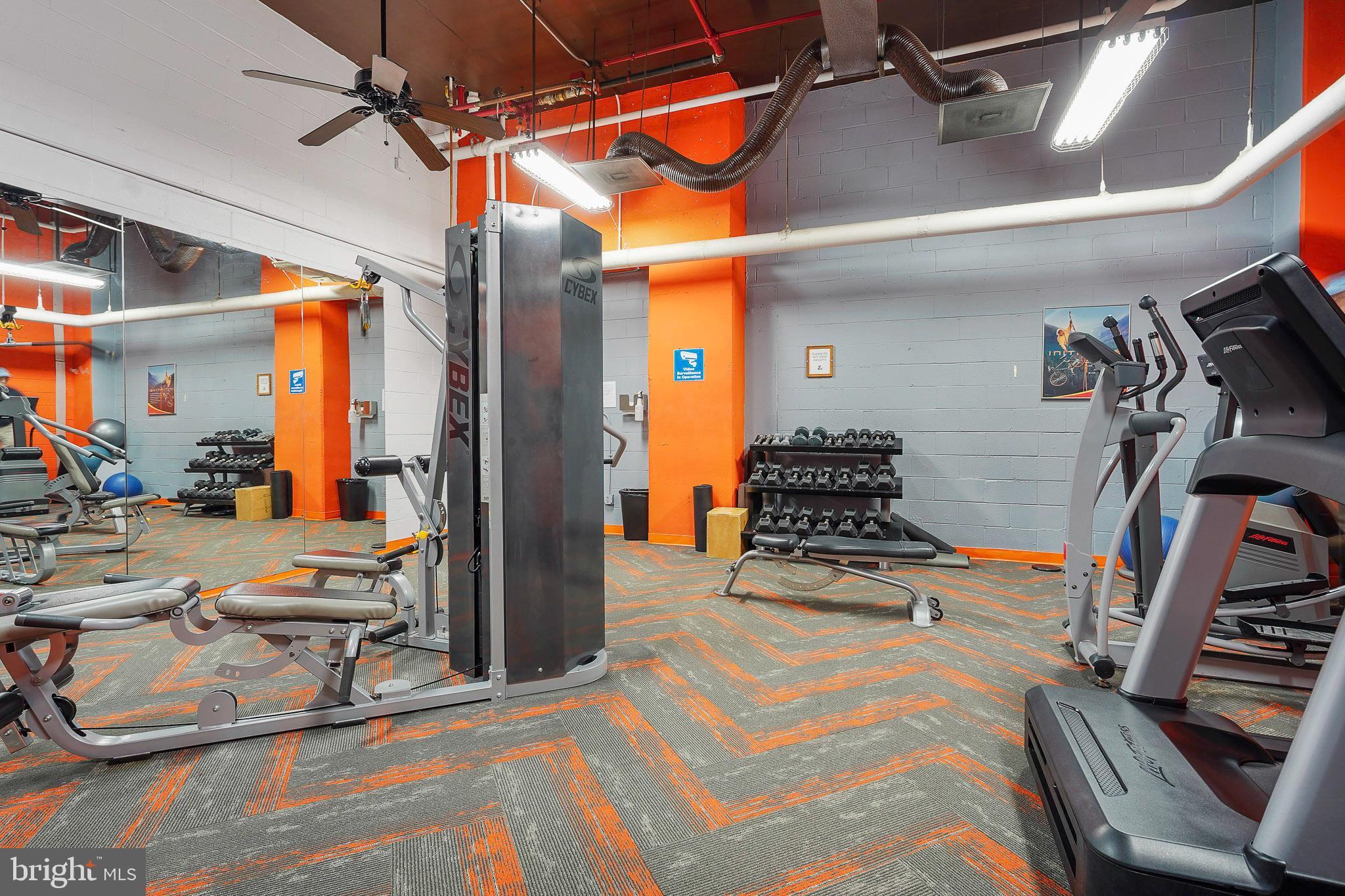 1225 MARTHA CUSTIS DRIVE 1119