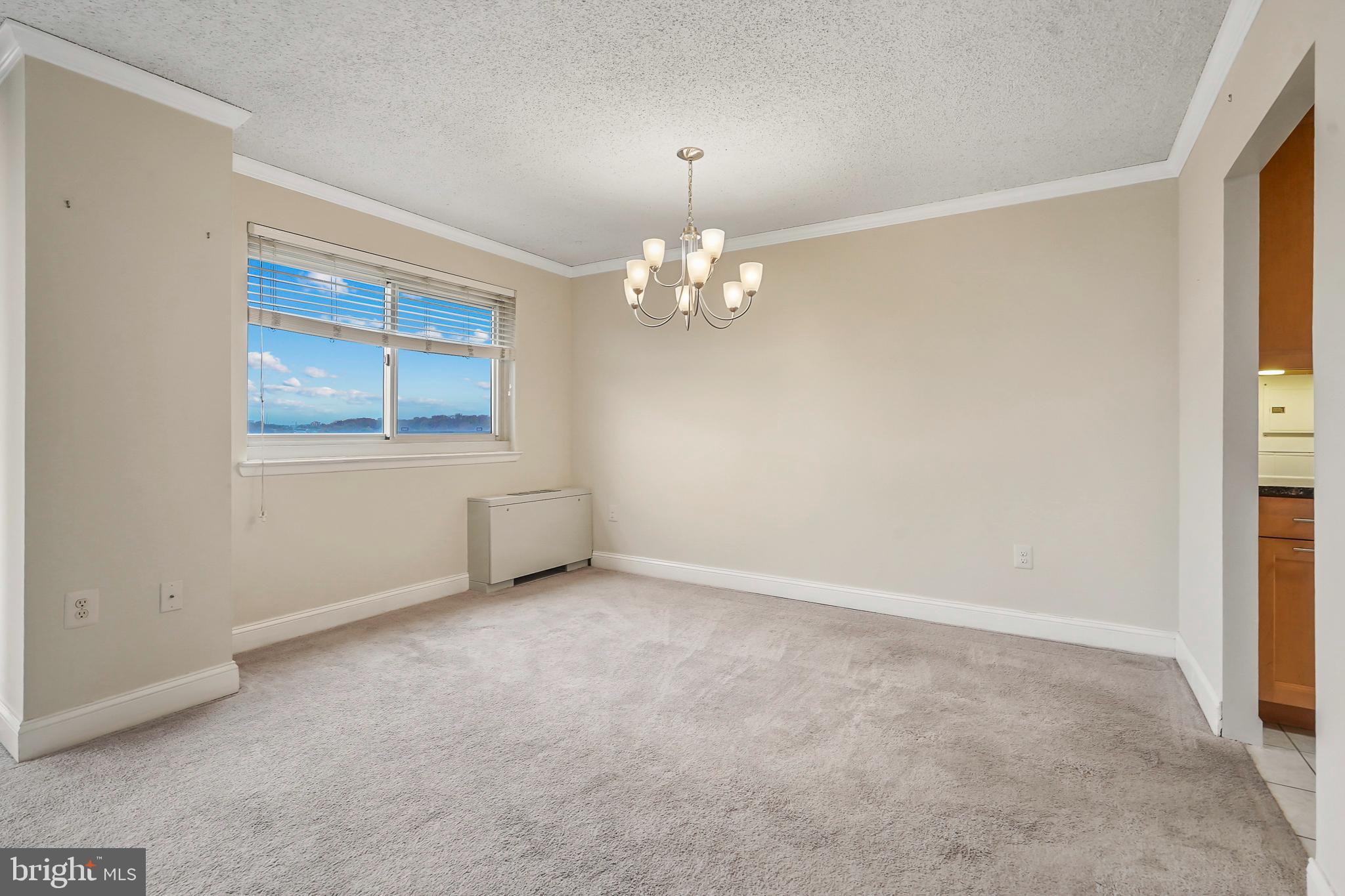 1225 MARTHA CUSTIS DRIVE 1119