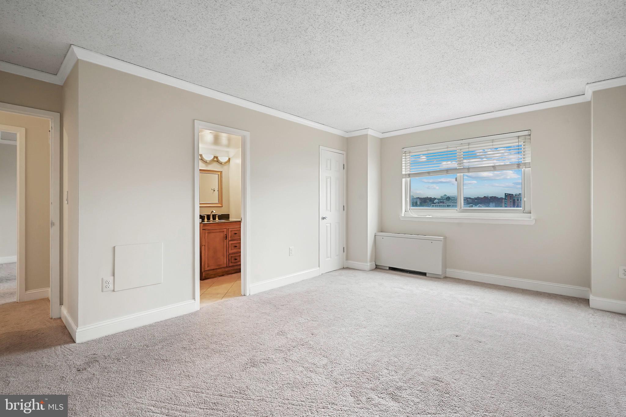 1225 MARTHA CUSTIS DRIVE 1119