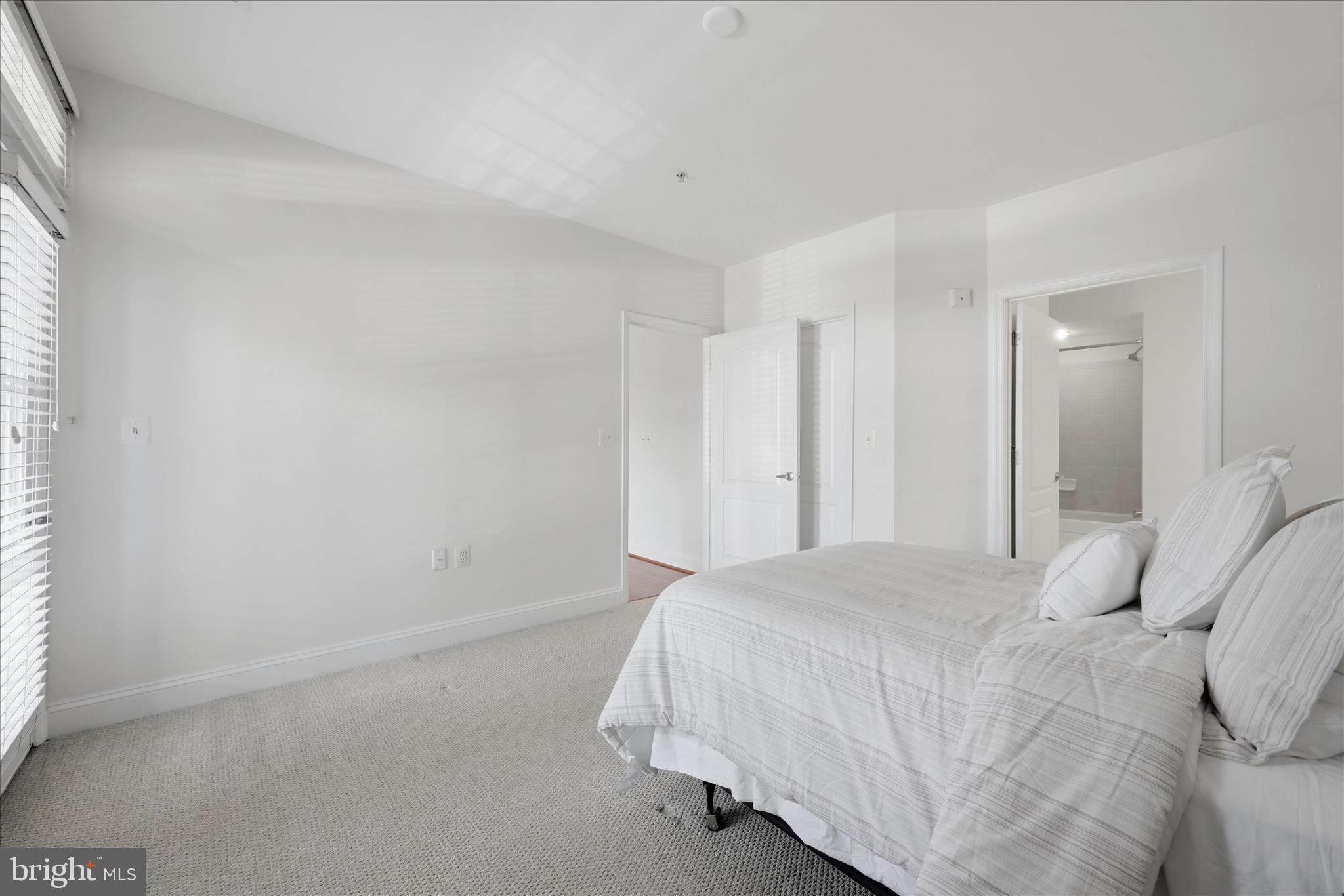 1115 CAMERON STREET 213