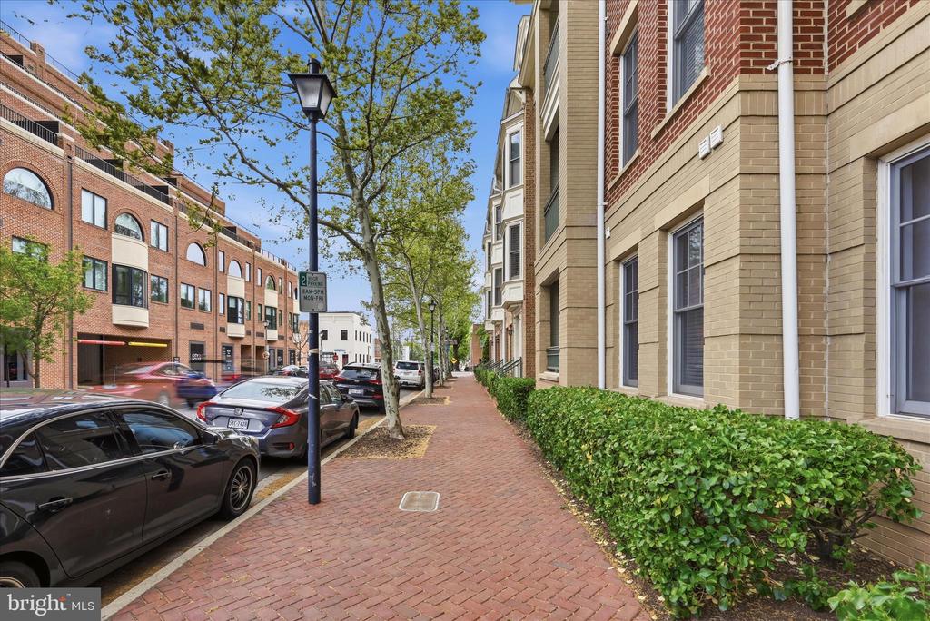 1115 CAMERON STREET 213