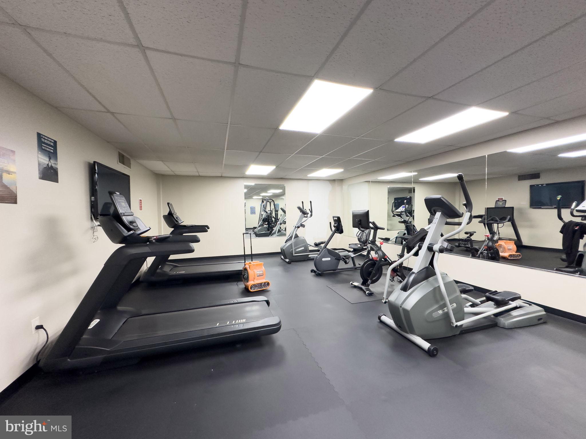 4600 DUKE STREET 519