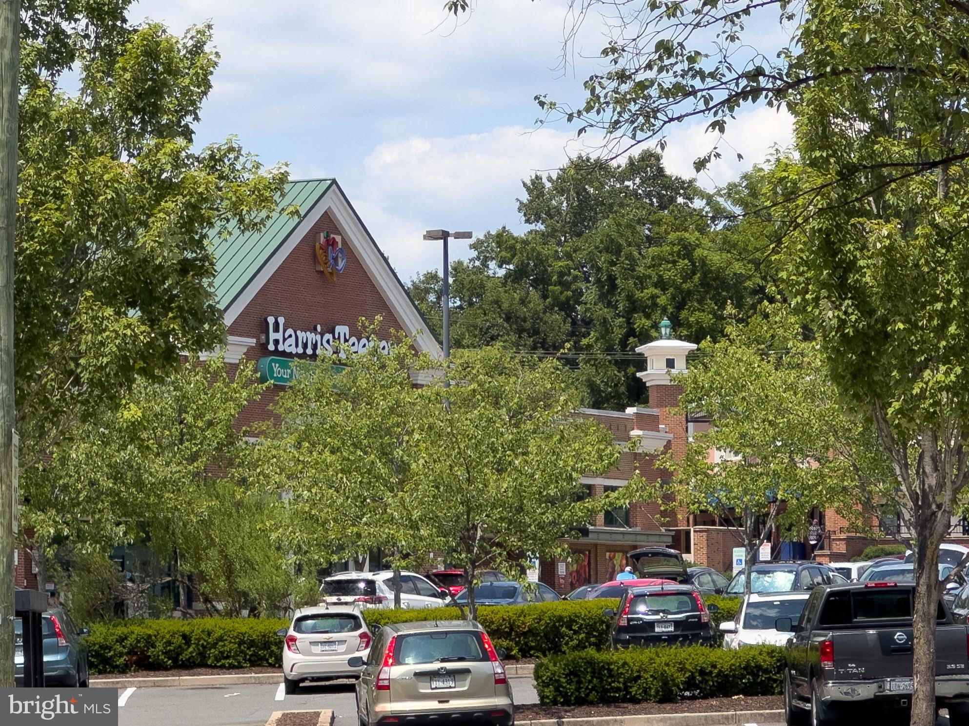 4600 DUKE STREET 519