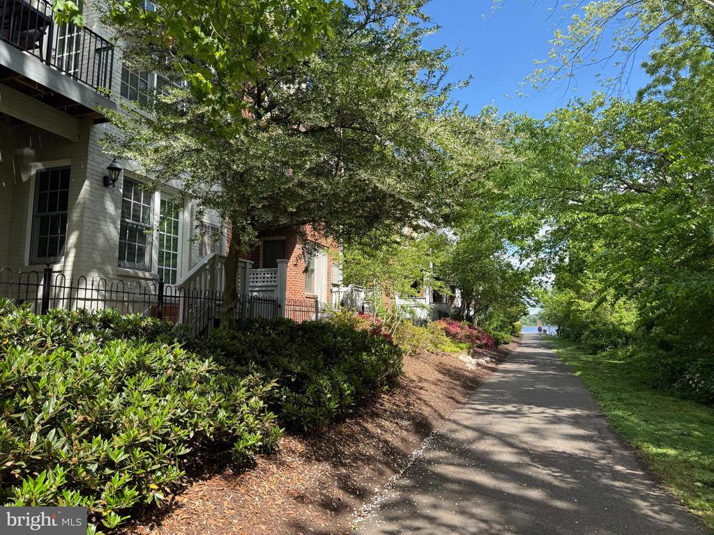 28 ALEXANDER STREET