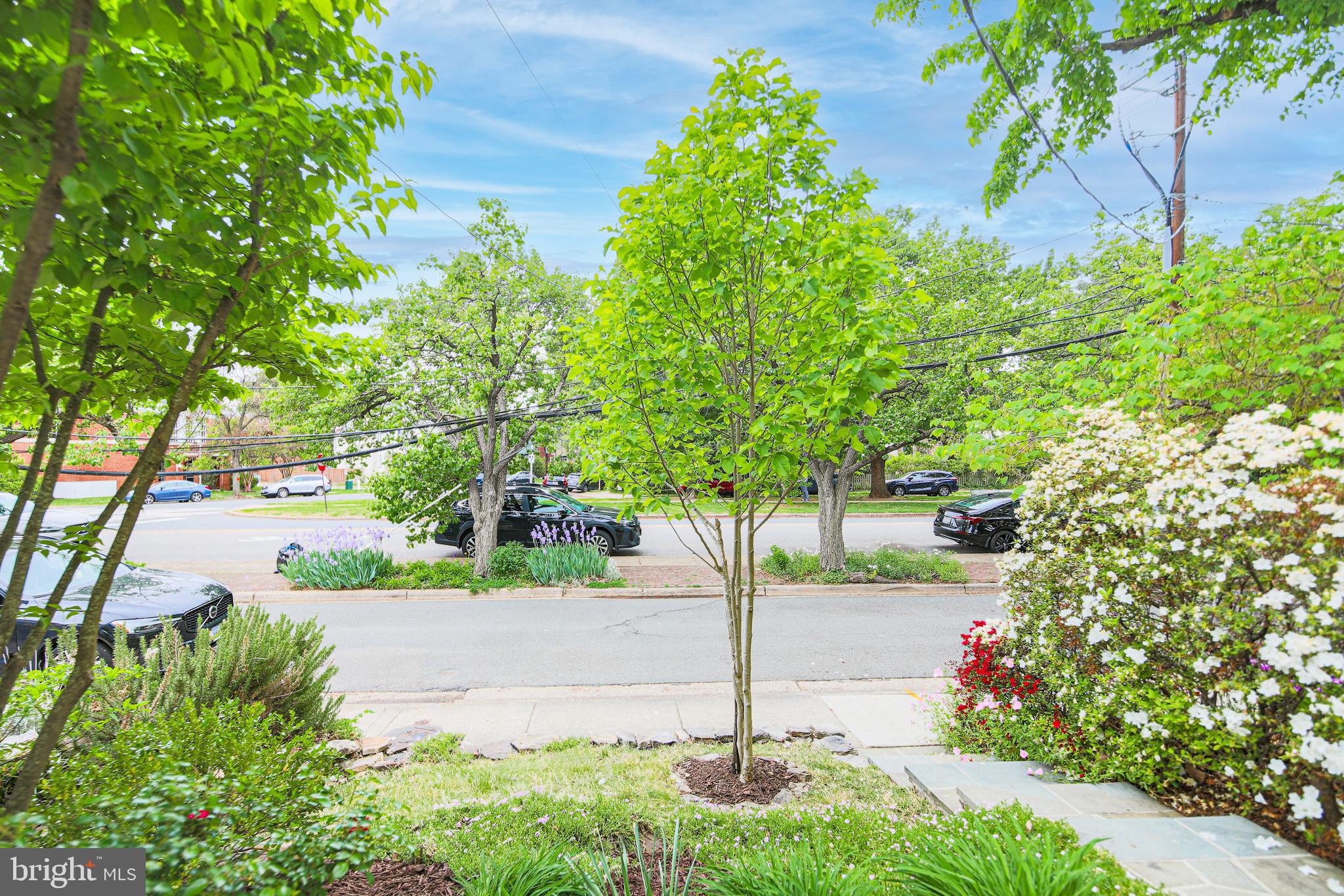 1107 POWHATAN STREET