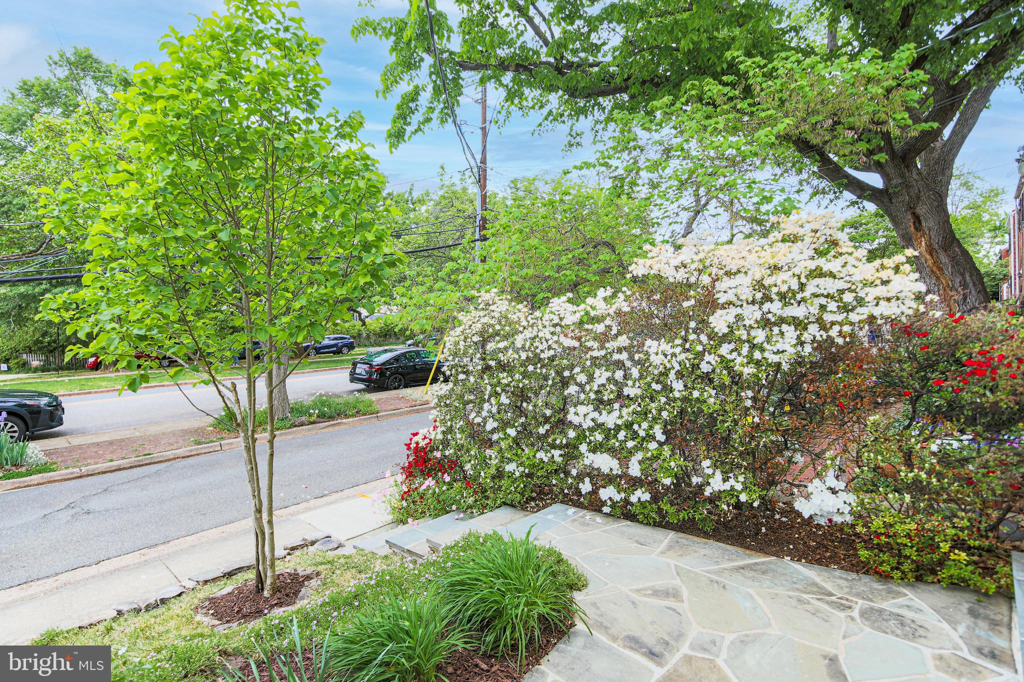 1107 POWHATAN STREET