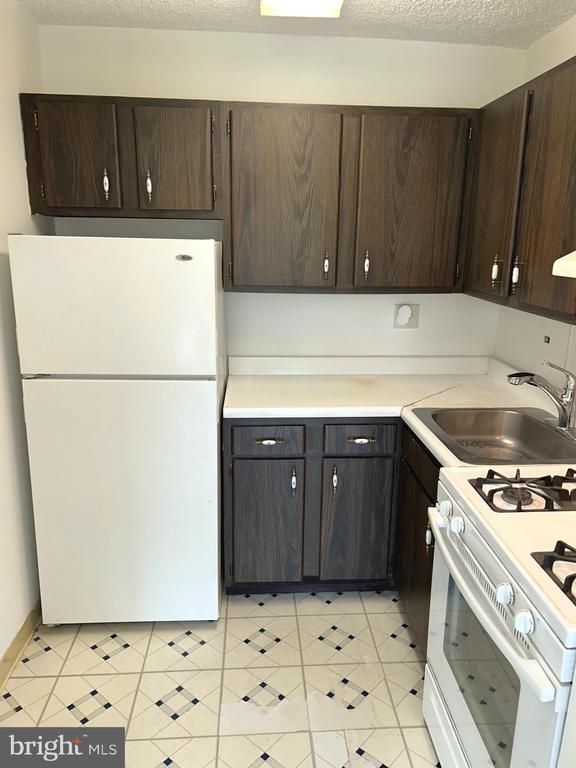 1225 MARTHA CUSTIS DRIVE 505