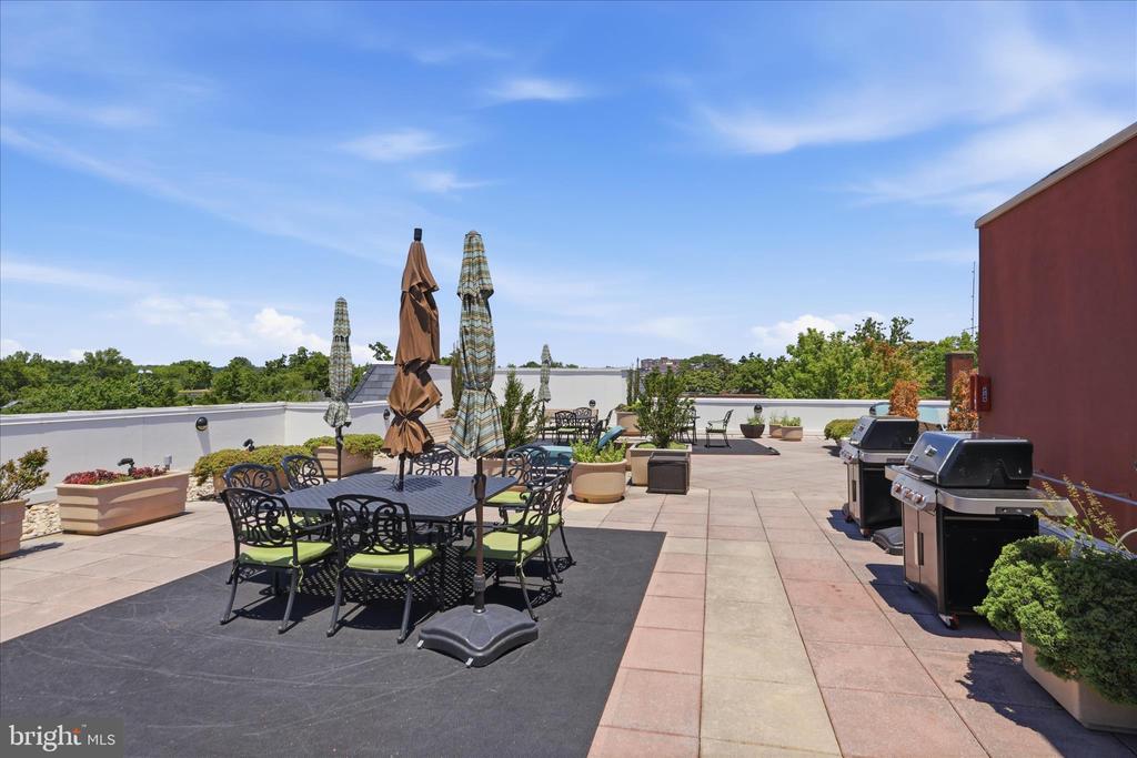 1115 CAMERON STREET Unit: 315