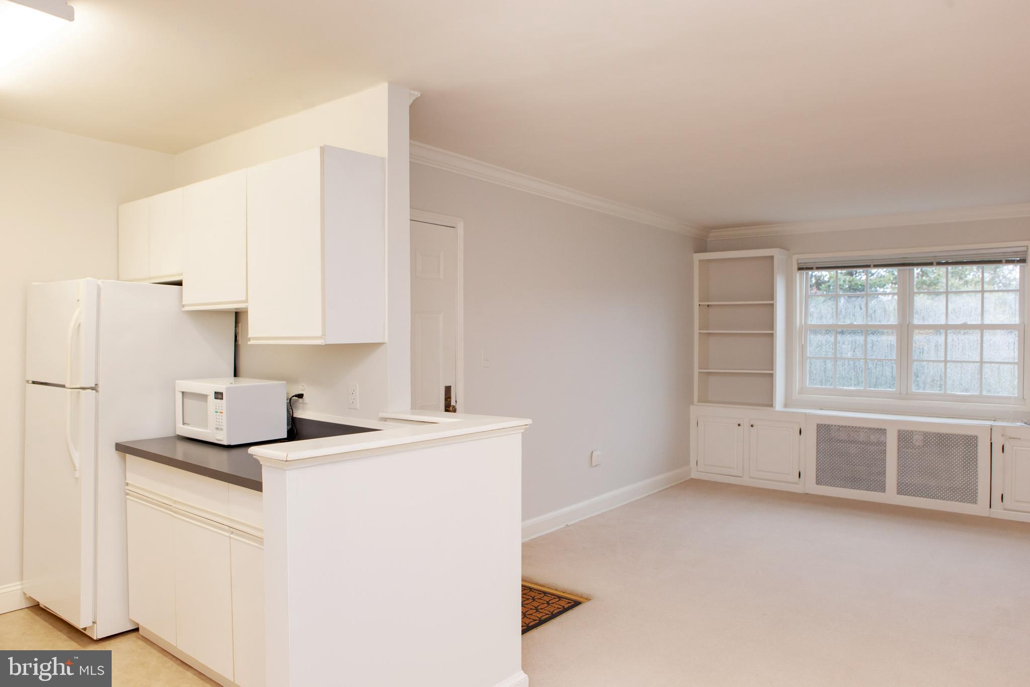 1712 W ABINGDON DRIVE 301