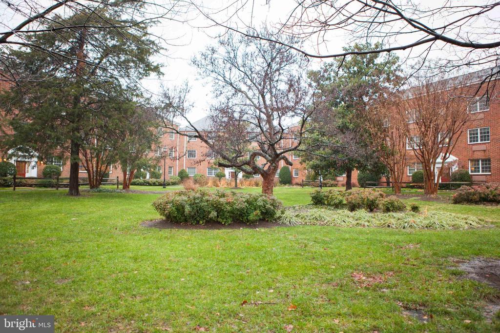 1712 W ABINGDON DRIVE 301