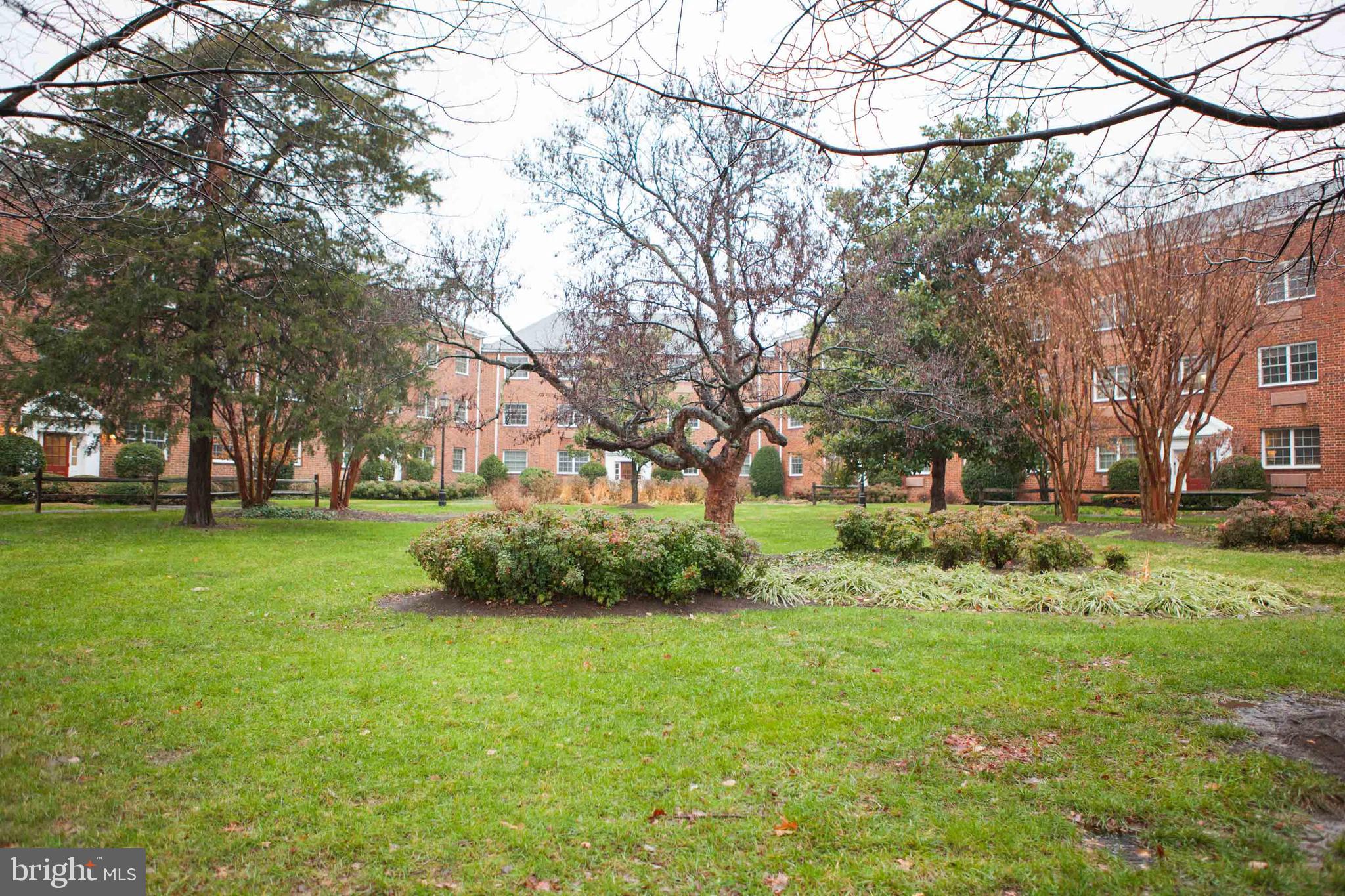1712 W ABINGDON DRIVE 301