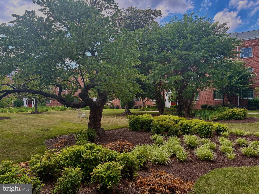 1708 W ABINGDON DRIVE 301