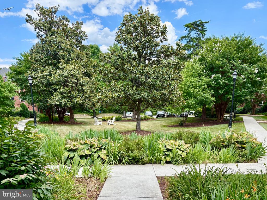 1708 W ABINGDON DRIVE 301