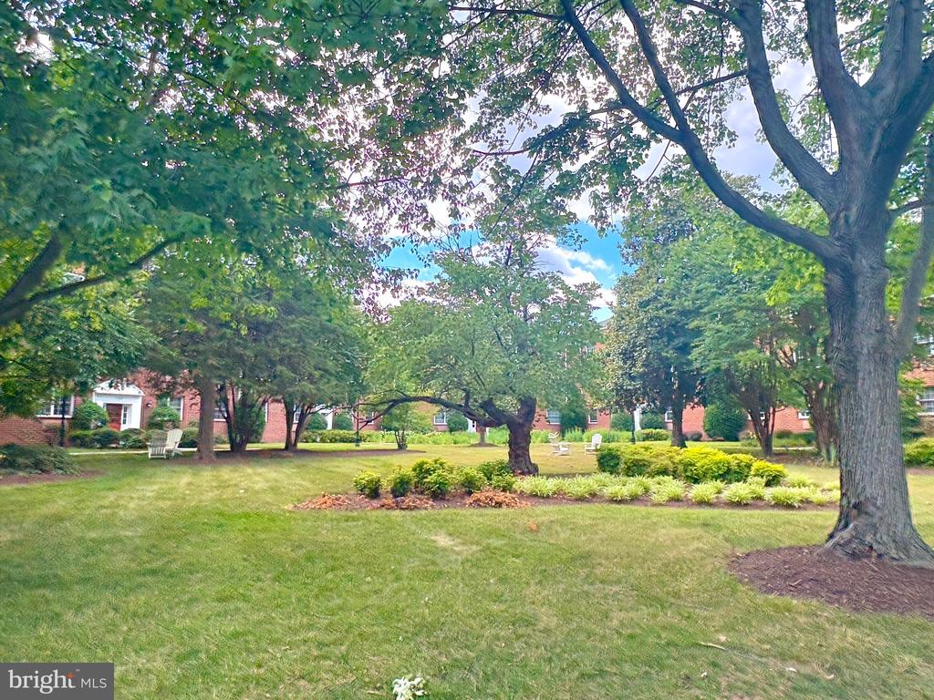 1708 W ABINGDON DRIVE 301