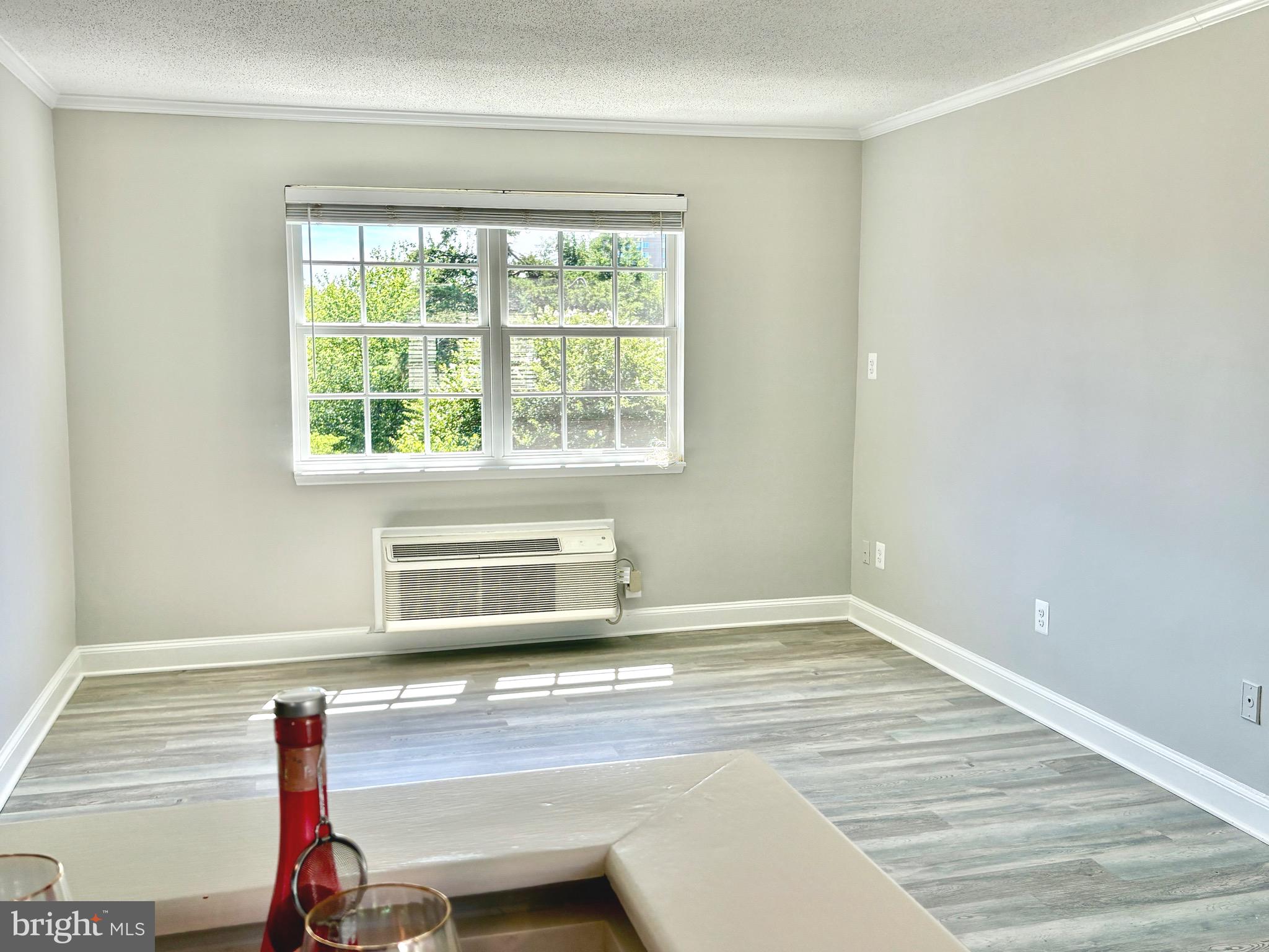 1708 W ABINGDON DRIVE 301