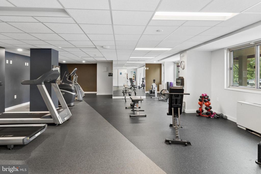 2500 N VAN DORN STREET Unit: 205