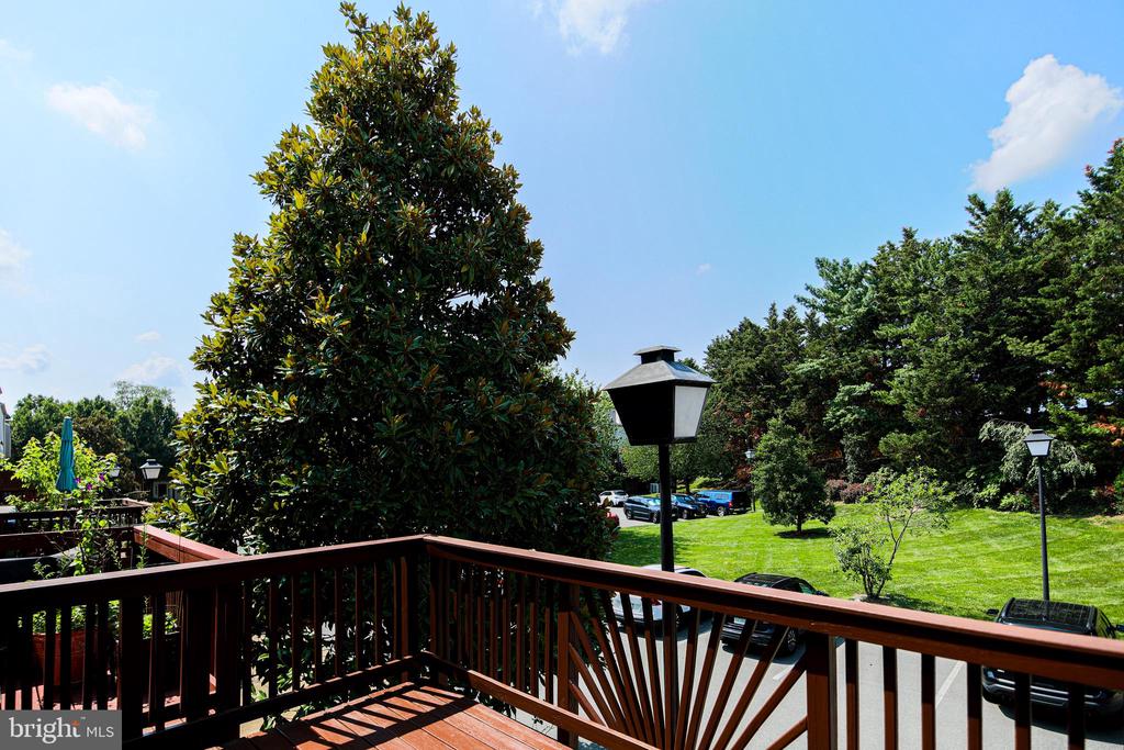 1405 ARGALL PLACE
