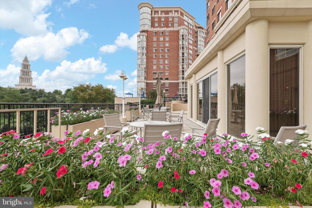 2181 JAMIESON AVENUE Unit: 805