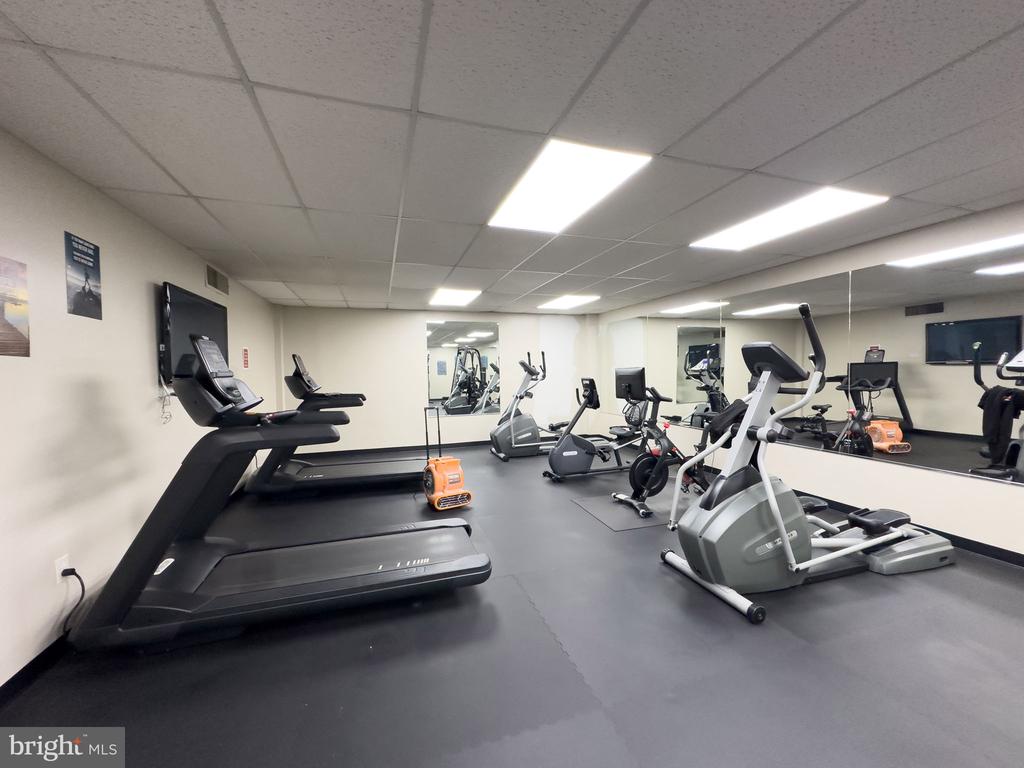 4600 DUKE STREET Unit: 519