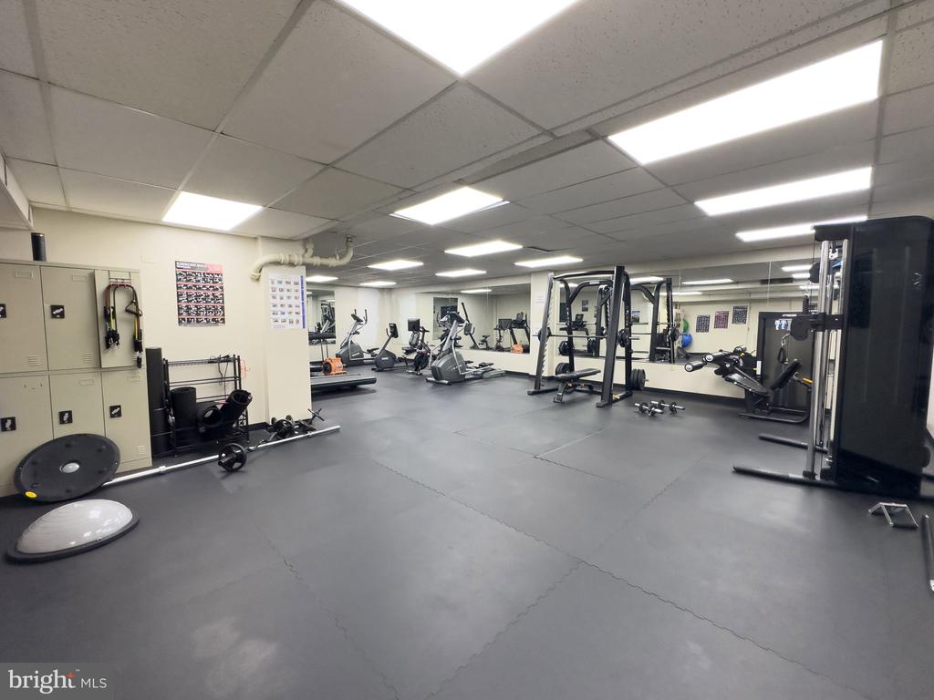 4600 DUKE STREET Unit: 519