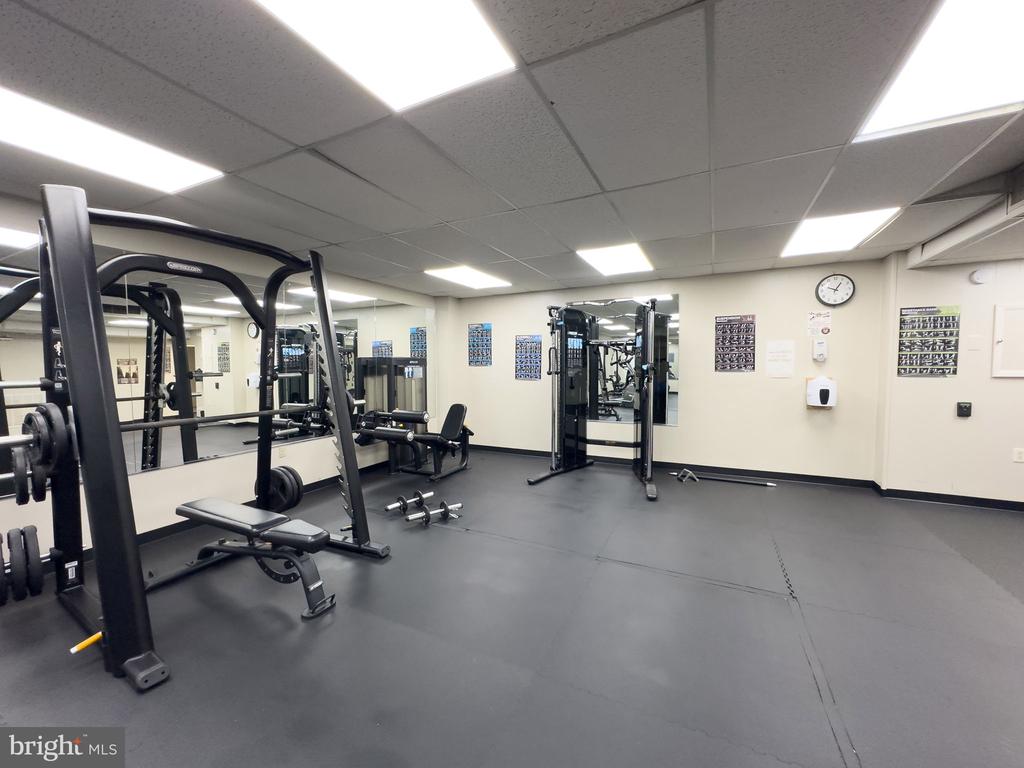 4600 DUKE STREET Unit: 519