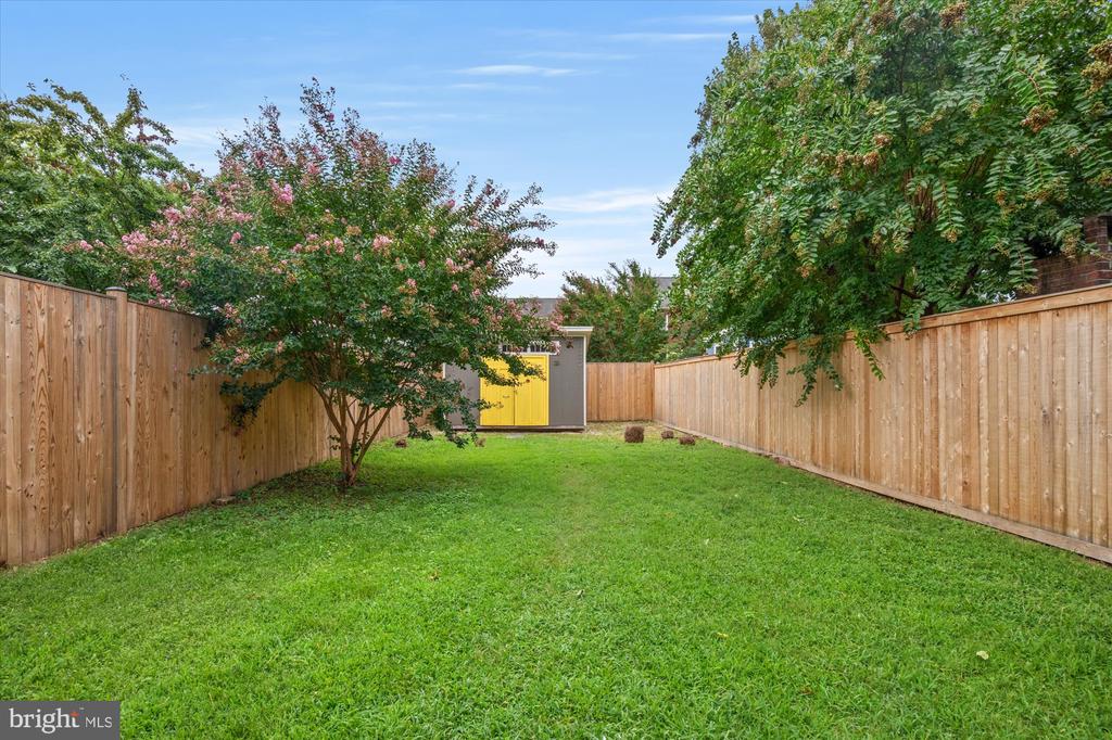 317 CUSTIS AVENUE E
