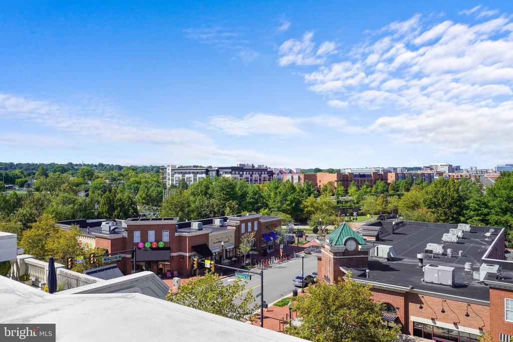 828 SLATERS LANE Unit: 204