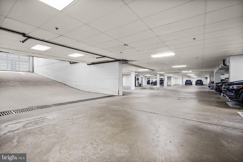 828 SLATERS LANE Unit: 204
