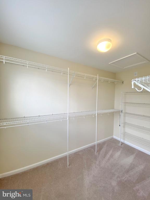 81 ARELL COURT
