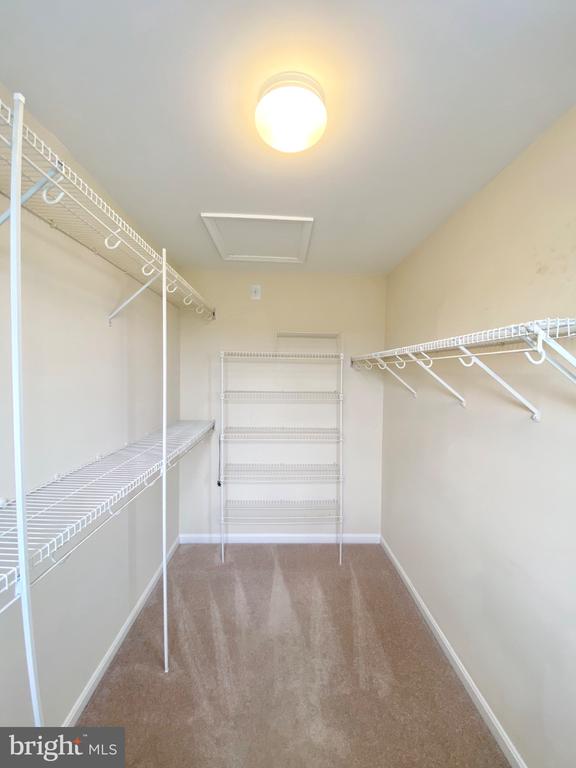 81 ARELL COURT