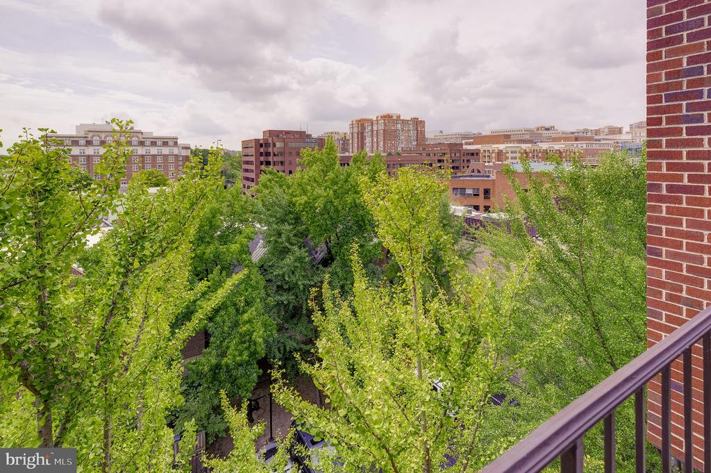 1600 PRINCE STREET Unit: 610