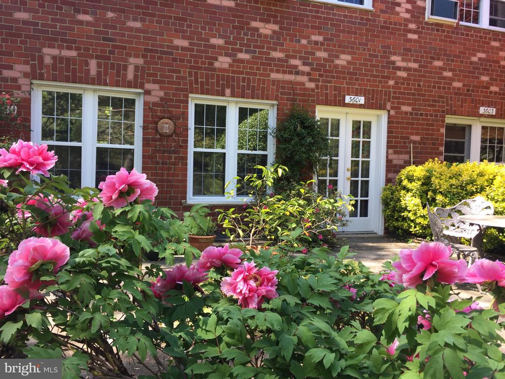 3601 GREENWAY PLACE Unit: 530-36