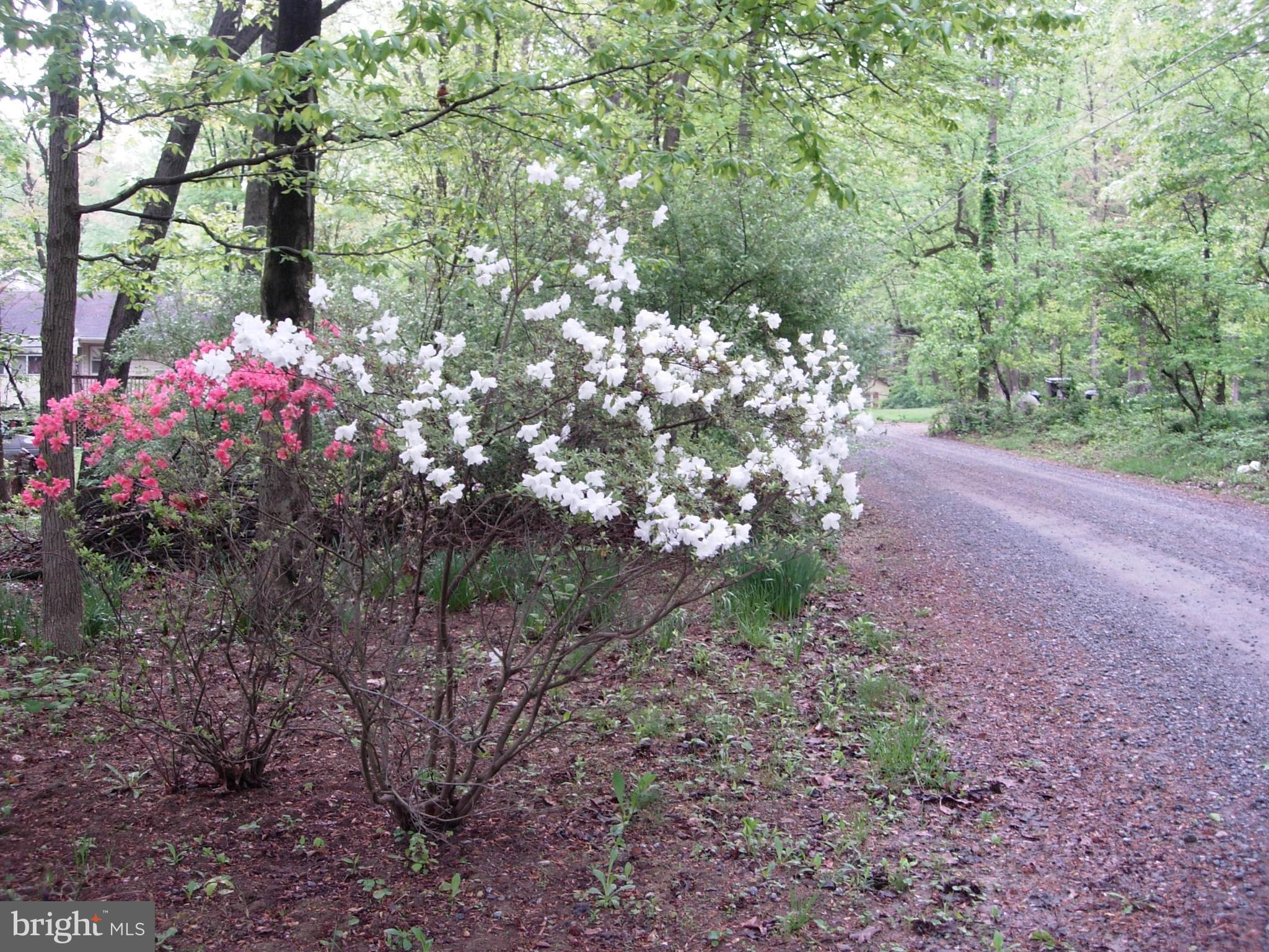 DOGWOOD LN
