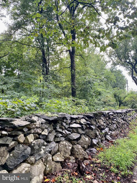 BLUERIDGE MOUNTAIN LOT 1 ROAD