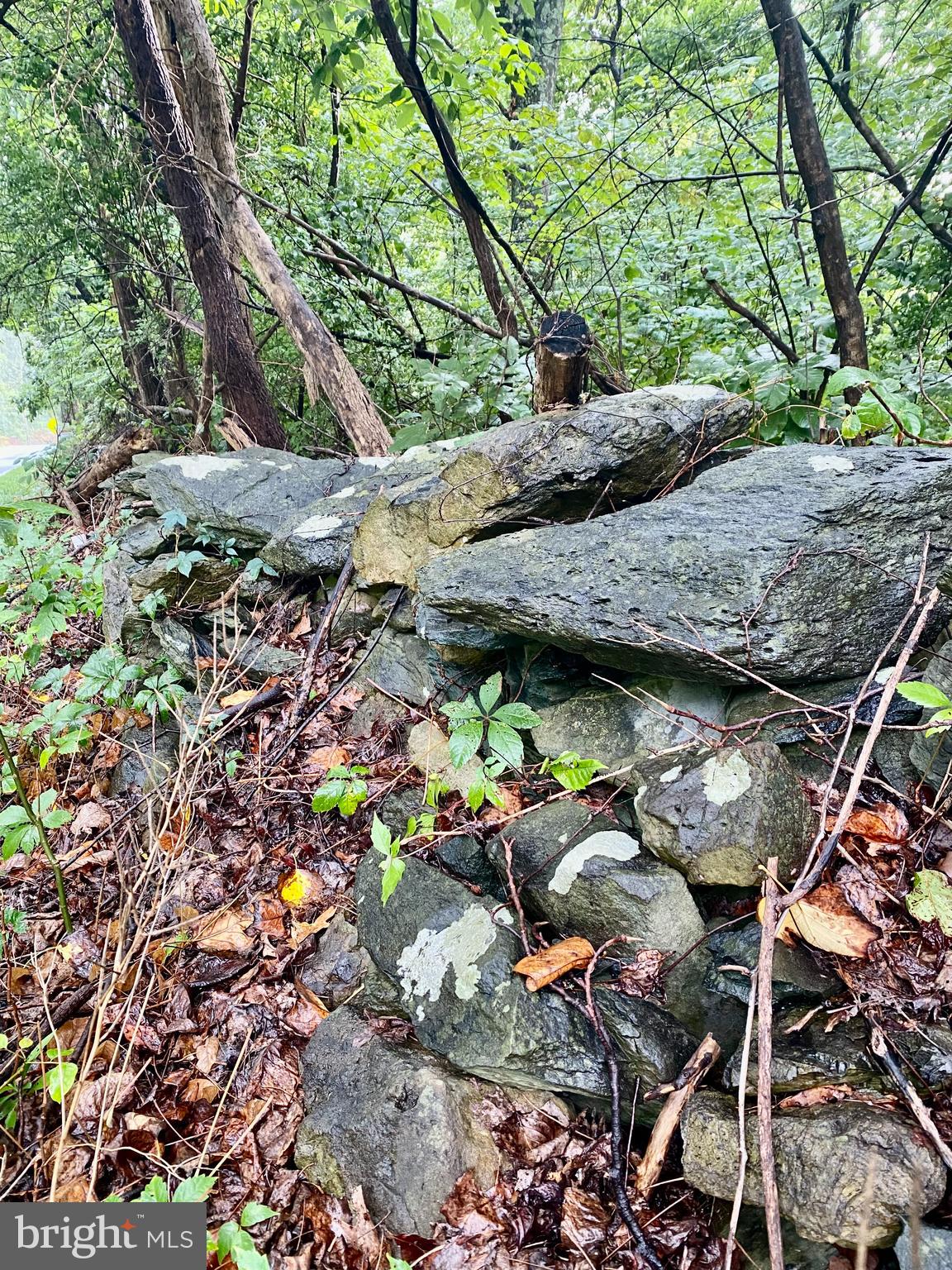 BLUERIDGE MOUNTAIN LOT 1 ROAD