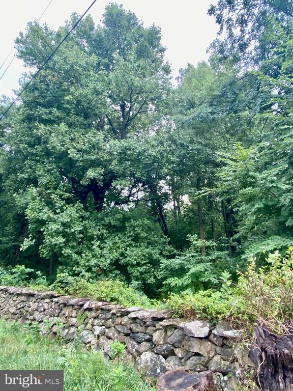 BLUERIDGE MOUNTAIN LOT 1 ROAD