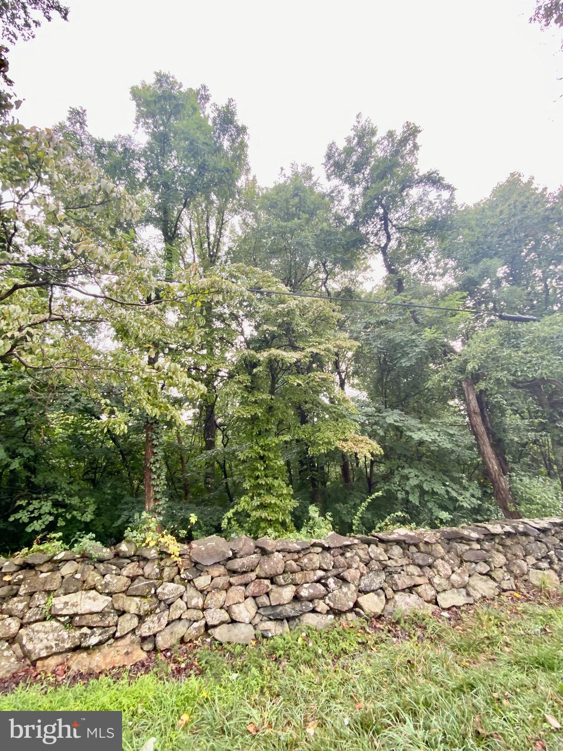 BLUERIDGE MOUNTAIN LOT 1 ROAD