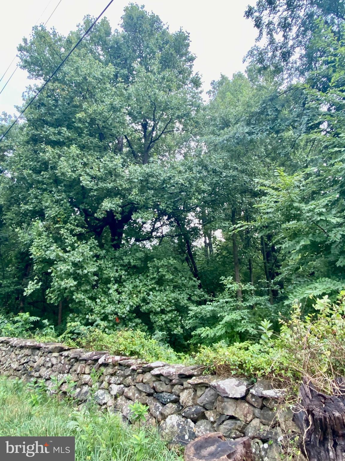 BLUERIDGE MOUNTAIN LOT 1 ROAD