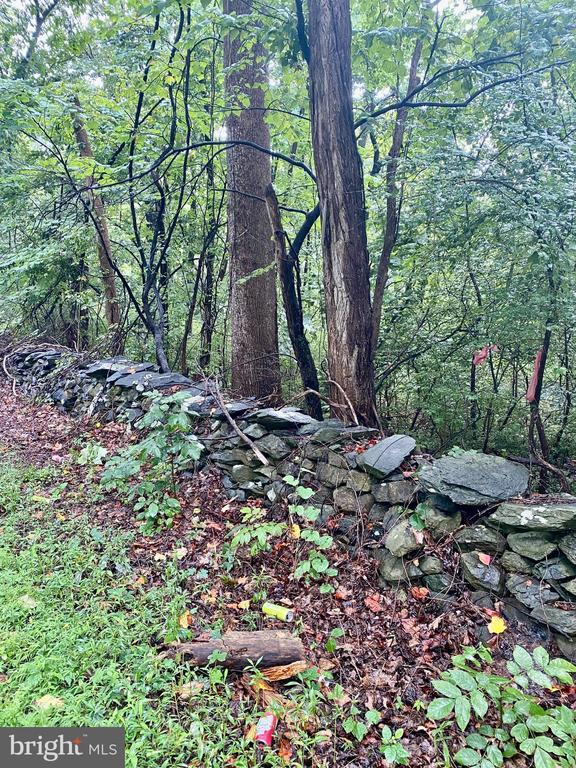 BLUERIDGE MOUNTAIN LOT 1 ROAD