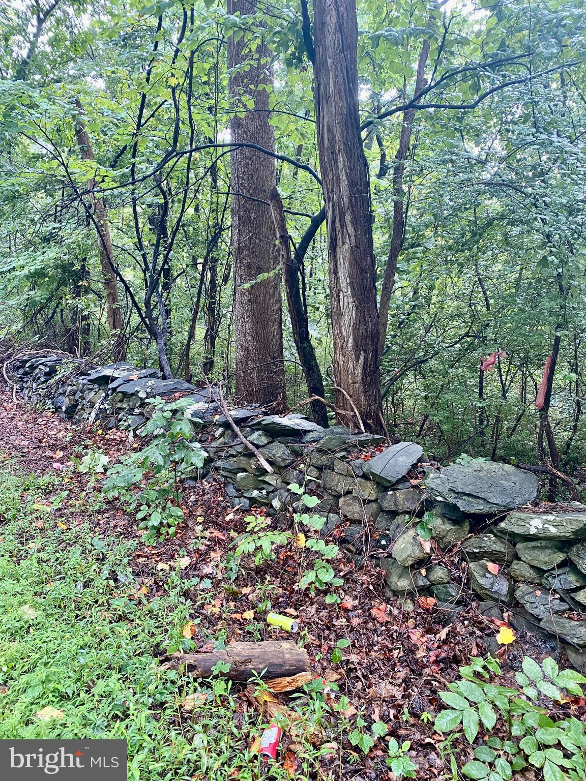 BLUERIDGE MOUNTAIN LOT 1 ROAD