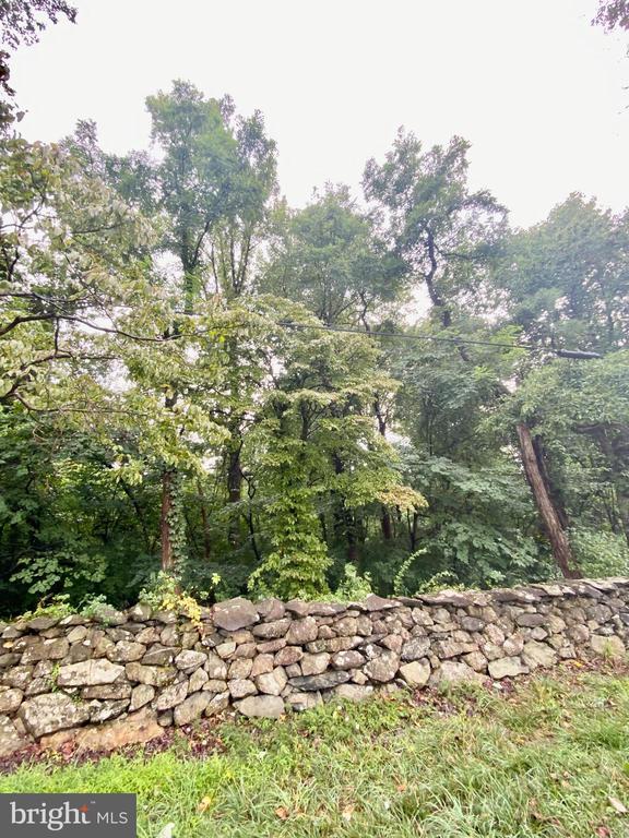 BLUERIDGE MOUNTAIN LOT 1 ROAD