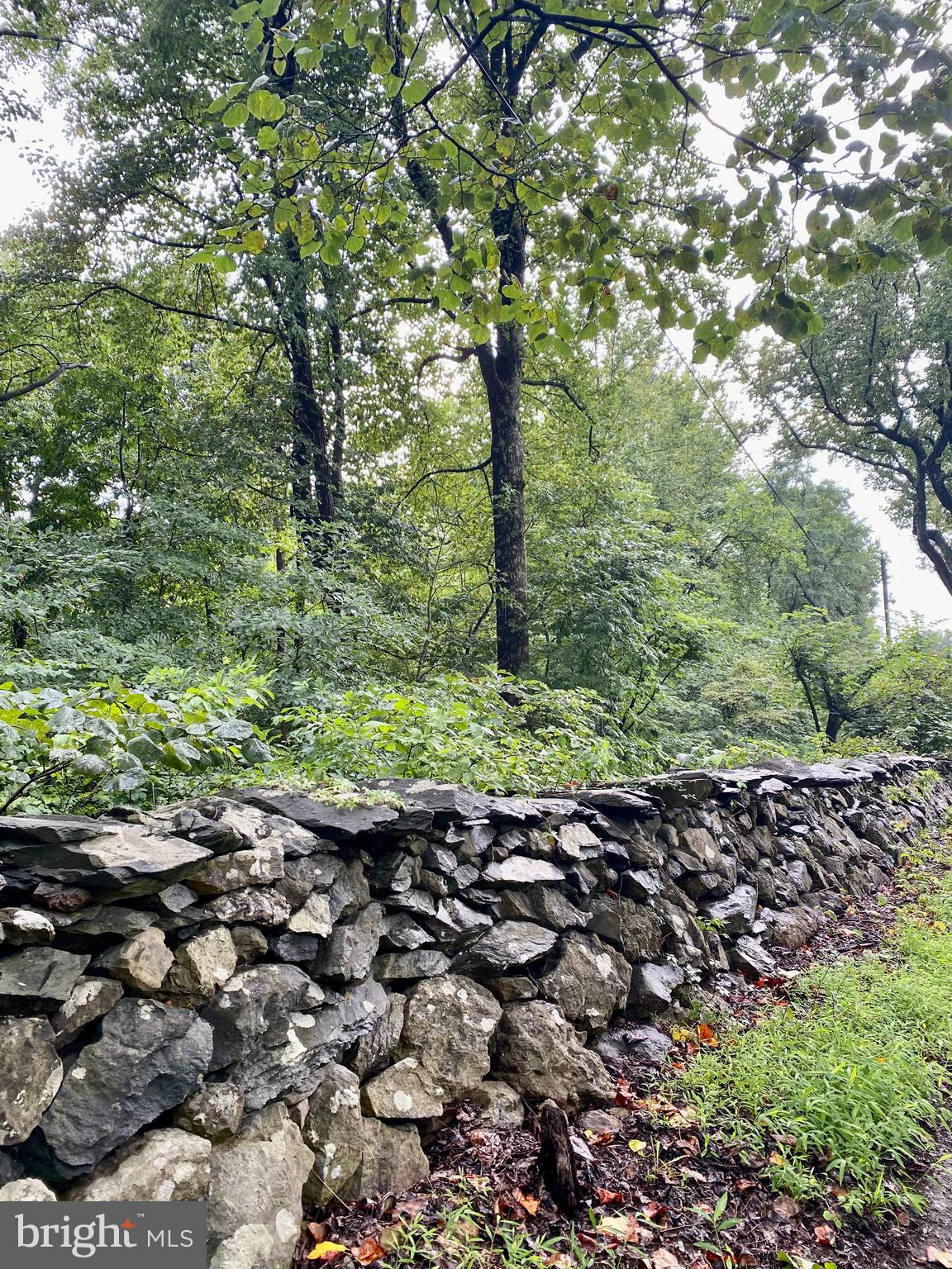 BLUERIDGE MOUNTAIN LOT 1 ROAD