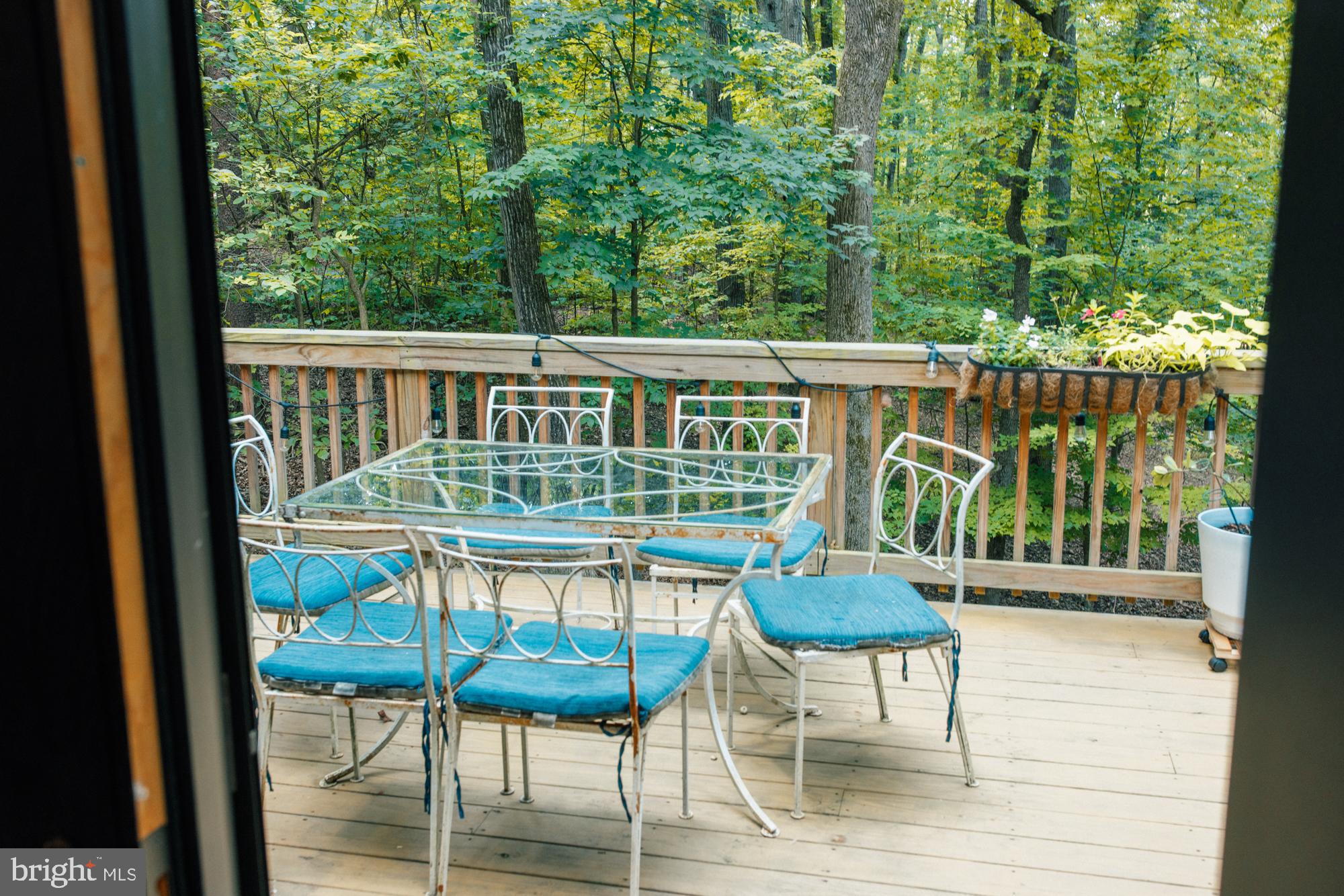 167 POPLAR LANE